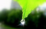Фото ecoportal.su